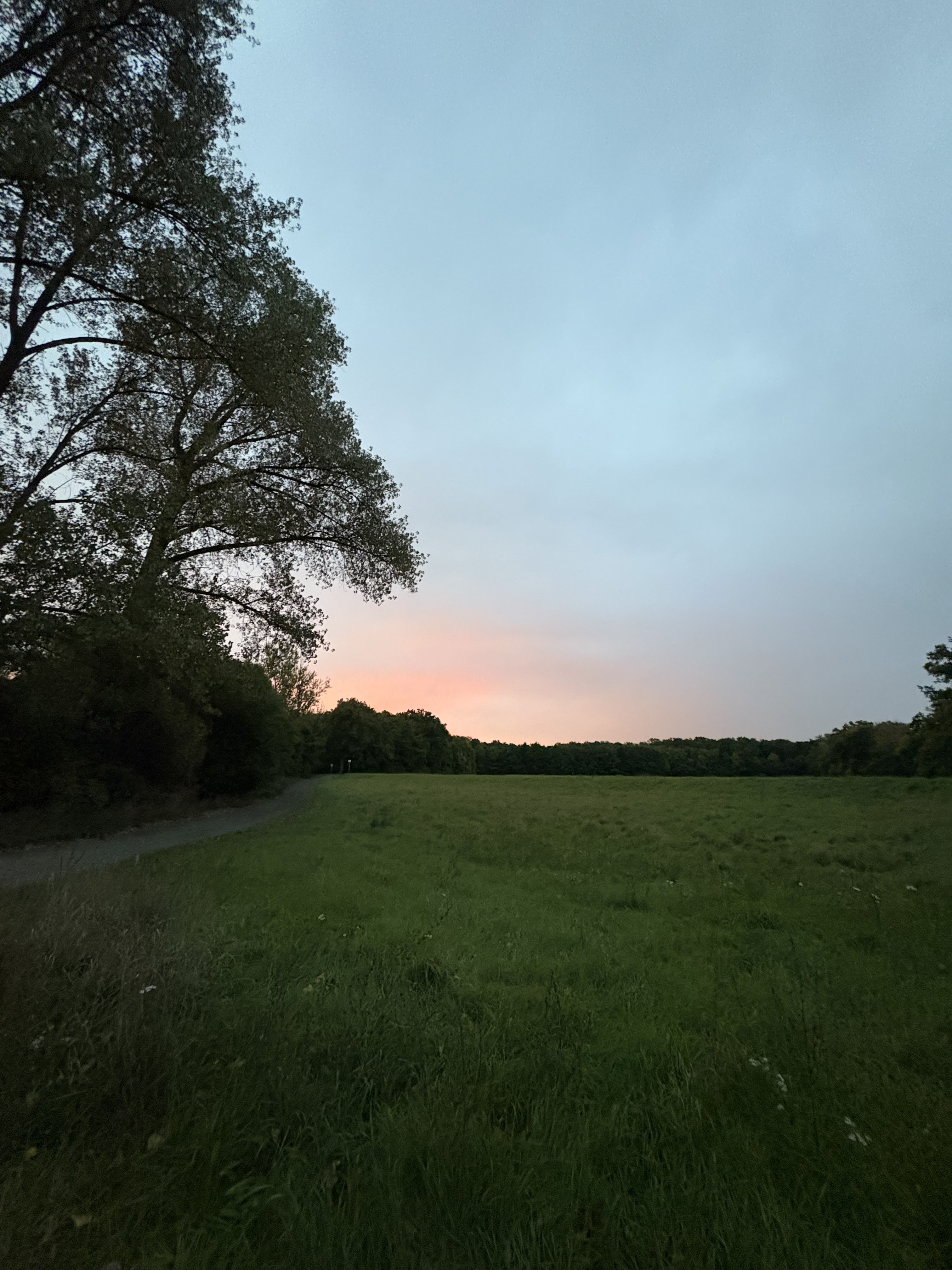 nature